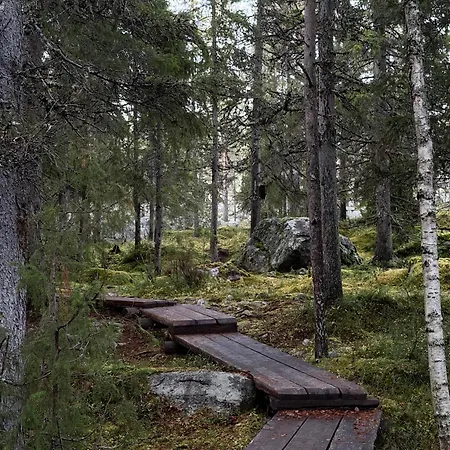 Cozy In With Sauna Rovaniemi